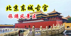 舔骚逼吸淫水视频中国北京-东城古宫旅游风景区